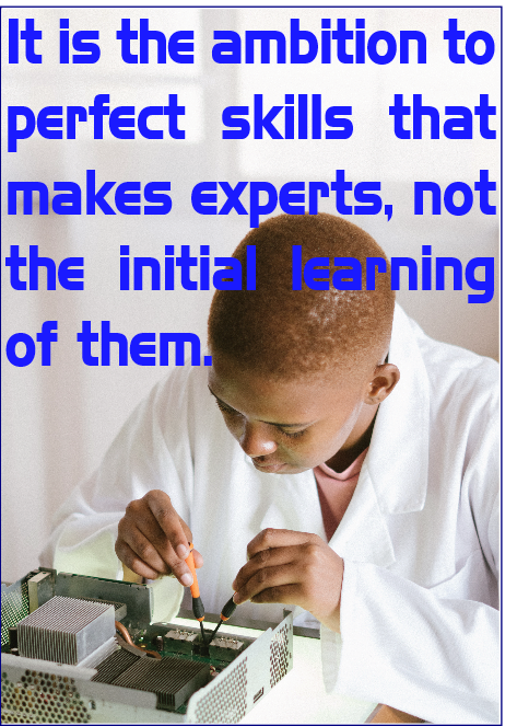 It is the ambition to perfect the skills that makes experts, not the initial learning. 