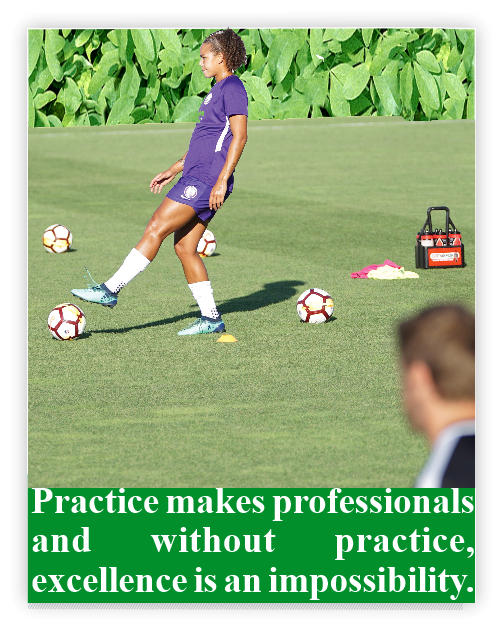 Practice makes professionals and without practice, excellence is an impossibility.