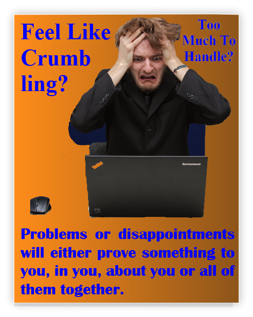 Problems or disappointments will either prove something to you, in you, about you or all of them.