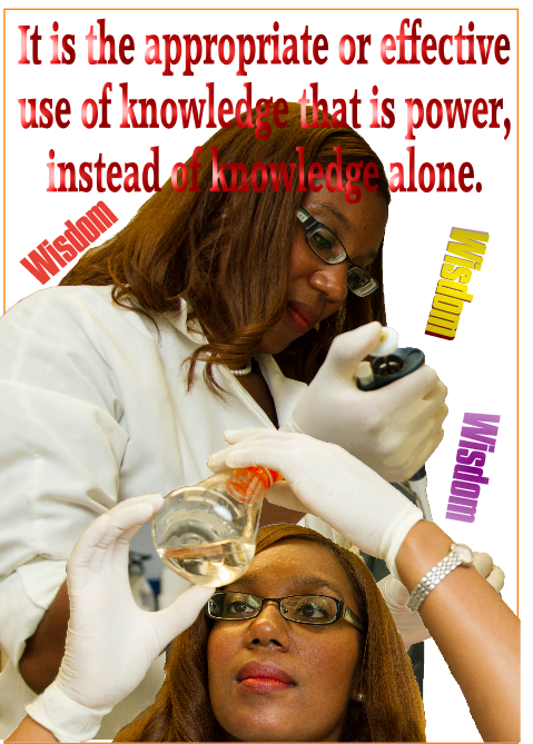 It is the appropriate or effective use of knowledge that is power, instead of knowledge alone.